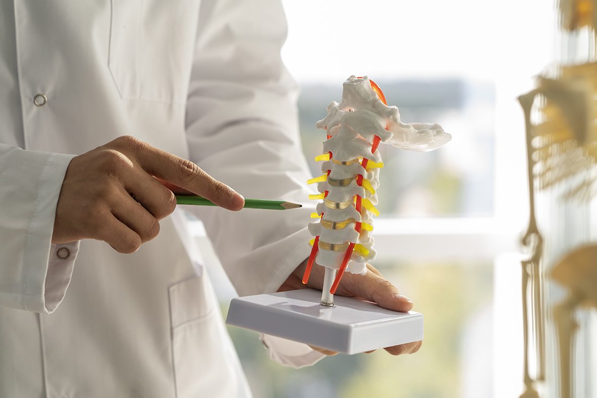 Rhumatologue donne des explications avec une maquette de colonne vertébrale
